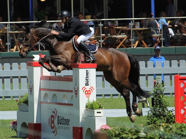 本周五就开赛，记者：CBA新赛季能不能每场都有转播仍未确定